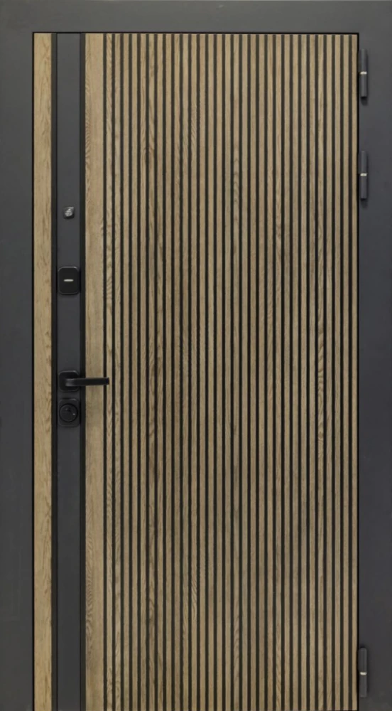 Входная дверь ДвериПРО Rosna Без фрезеровки Дуб арктик горизонт DPRO198250 внешняя сторона