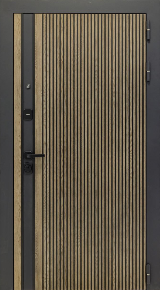 Входная дверь ДвериПРО Rosna Без фрезеровки Дуб арктик горизонт DPRO196716 внешняя сторона